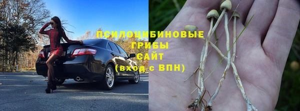 гашик Балахна