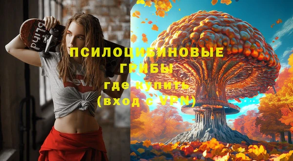гашик Балахна