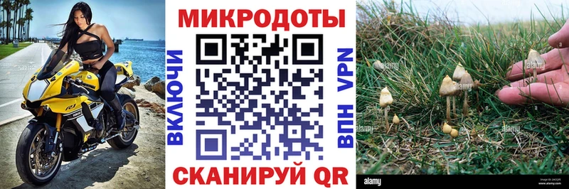 Псилоцибиновые грибы Psilocybine cubensis  купить наркотик  Онега 